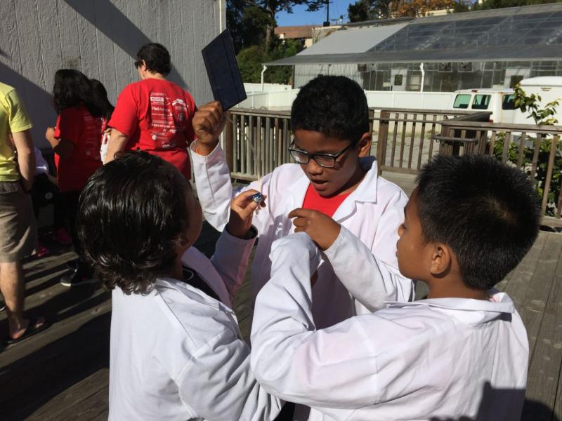 Science students collaborating outside