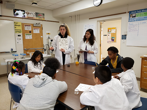 Students having a science discussion