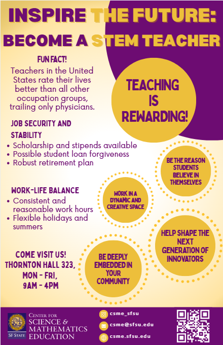 Why be a teacher campaign flyer