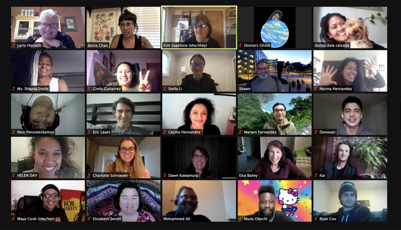 Teacher Fellows zoom meeting picture